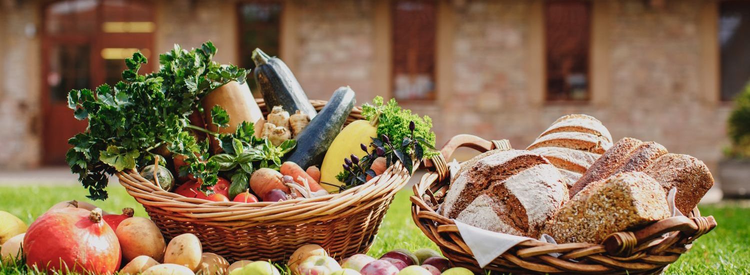 Auf einer Wiese steht ein Korb mit Gemüse und ein Korb mit Broten.